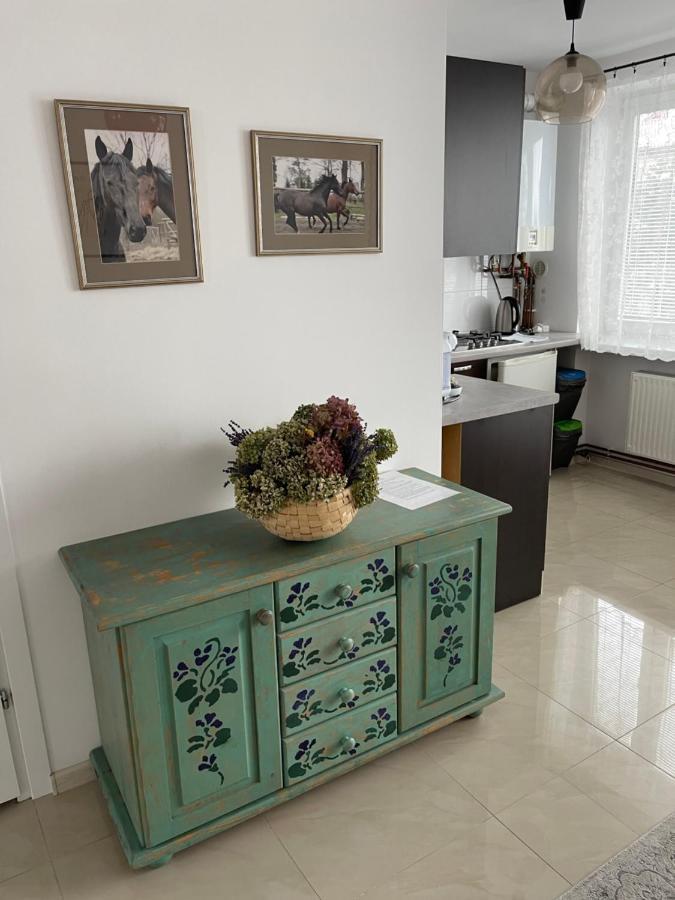 Apartamenty Cud Miod Кросно Екстериор снимка